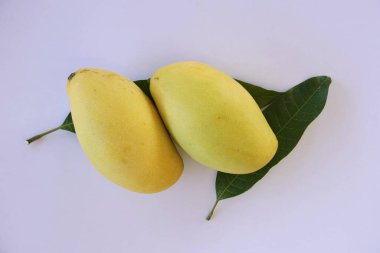Mango meyve beyaz zemin üzerine