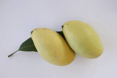Beyaz arka plan üzerinde izole mango meyve