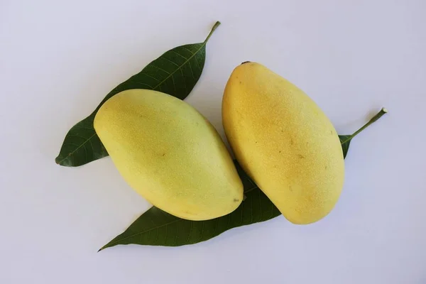 Mango Fruit White Background — Stock Photo, Image