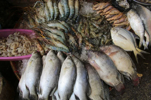 Mercado de frutos do mar frescos em Mianmar, Ásia — Fotografia de Stock