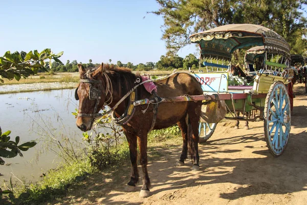 Chariot à cheval dans la zone archéologique de Bagan, Myanmar (Birmanie) ) — Photo