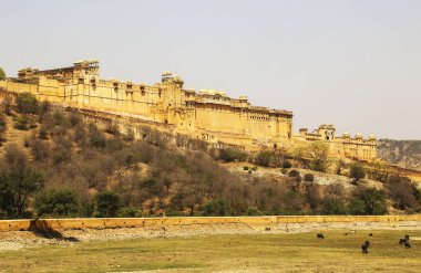 Jaipur 'daki Amber Kalesi, Rajasthan, Hindistan