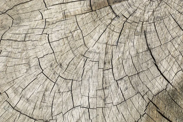 Vieille texture en bois couleur naturelle — Photo