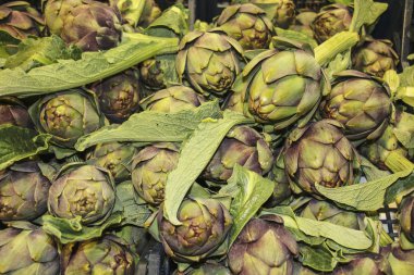 Taze enginar çiftçilere pazarında Roma, İtalya