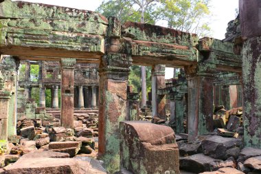ta prohm Tapınağı, angkor wat, cambodia