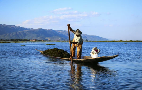 Pescador en el lago Inle, Myanmar (Birmania) — Foto de Stock