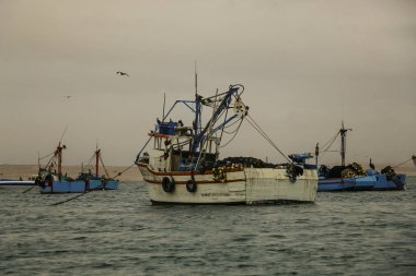 Balıkçı tekneleri şehirdeki Pisco, Paracas, Peru, Güney Amerika