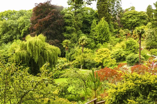 Green city park with trees. Beautiful summer landscape — Stock Photo, Image