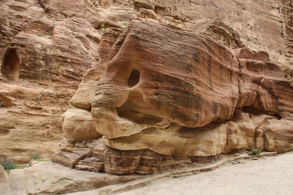 Sten som liknar konturerna av en elefant i sandsten gorge — Stockfoto