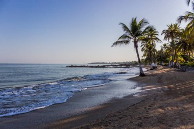 Beach Karayip manzara