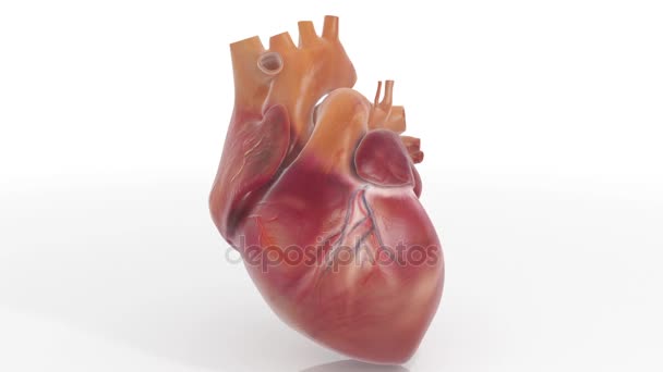 Animación de lazo con textura de corazón 3D — Vídeos de Stock