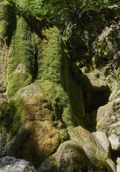 Скелі покриті зеленим мохом . — стокове фото