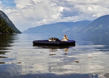 Siberian dış yapraklar float bir