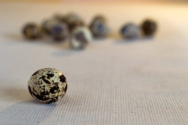 Bıldırcın yumurta bir keten üzerinde