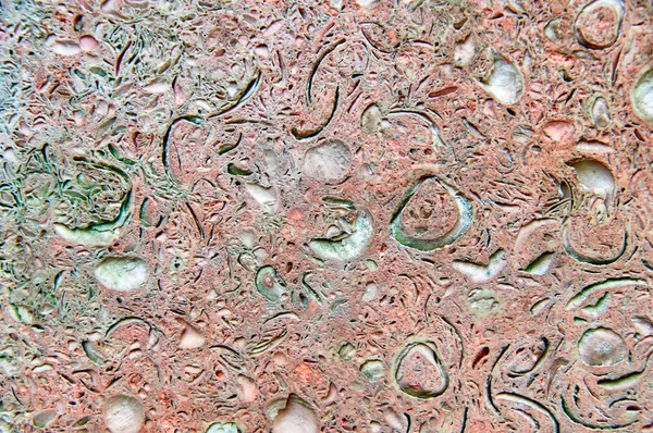 Antecedentes azulejos de rocha shell rosa. Textura porosa close-up. Espaço de cópia . — Fotografia de Stock
