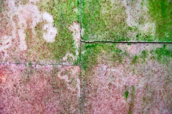 Achtergrond oude Muurplaten met roze marmer textuur is bedekt groene schimmel en mos. — Stockfoto
