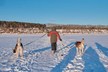 Çocuk (10 yaşında) ile iki siberian dış yapraklar üzerinde kira kontratı husky köpekleri karlı alan küçük çocuk sahibi yol geliyor. Arkadan Görünüm manzara
