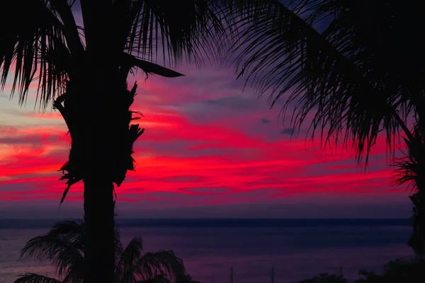 Dramática puesta de sol sobre agua oscura y siluetas de palma. Paisaje marino con nubes en jugosos rayos rojos puesta de sol. Fondo de pantalla paisaje mágico . — Foto de Stock