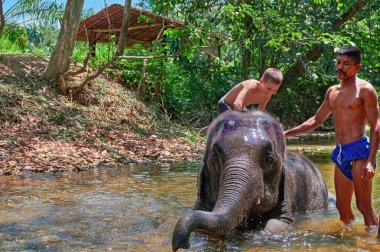 Tayland, Phuket, 23 Mart 2018 - çocuk (10 yaşında) yaşam tarzı tasarım için fil ile nehirde yüzüyor.