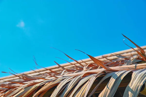 Kantendach ist mit trockenen grauen Palmblättern vor dem Hintergrund blauer, sonniger Himmel bedeckt. — Stockfoto