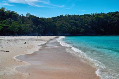 Doğal deniz plaj ve tropikal orman, Racha Adası, Andaman Denizi manzara. Tayland seyahat, güzel hedef yer Asya, yaz tatili açık tatil gezisi.