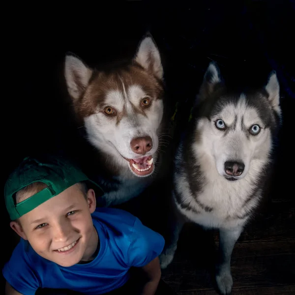 Top view portrait smiling boy with two husky dogs on dark background. Happy child and Siberian Husky sit together. — Stock Photo, Image