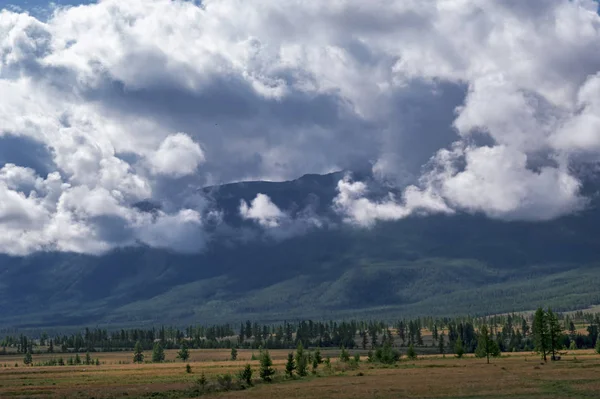 山の夏の風景。山と積雲、晴れた日の背景にステップ — ストック写真