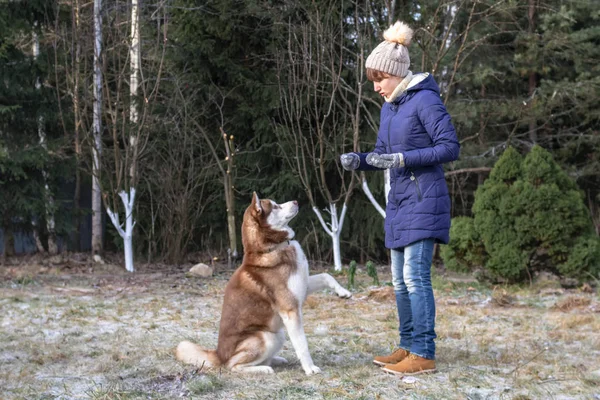 Una perra entrenadora. Hermosa chica joven en caminar con su mascota —  Fotos de Stock