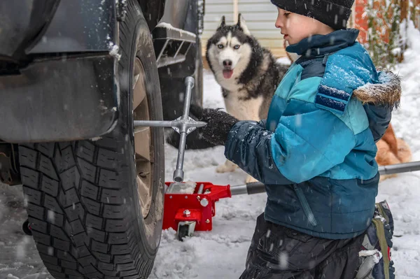 Το αγόρι ξεβιδώνει το παξιμάδι στο τιμόνι. Αντικατάσταση τροχών κατά τη χειμερινή ημέρα στο παρασκήνιο - σπίτι και σιβεριανά husky σκυλί — Φωτογραφία Αρχείου