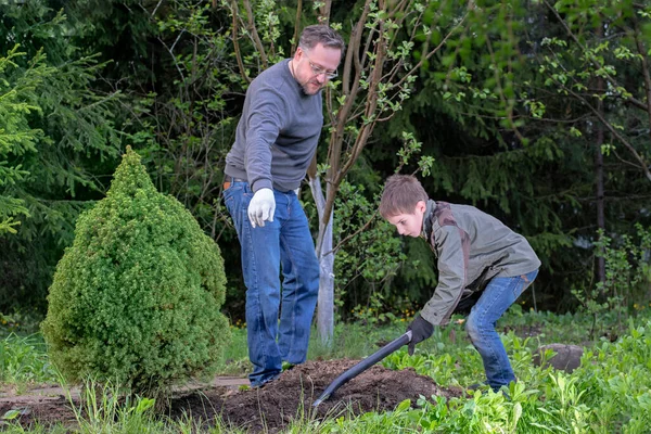 Πατέρας και γιος φυτεύουν ένα μικρό δέντρο στον κήπο. Ο άντρας δείχνει με το χέρι του, το αγόρι σκάβει με φτυάρι. Οικογενειακή εργασία, χόμπι, φύτευση σπόρων — Φωτογραφία Αρχείου