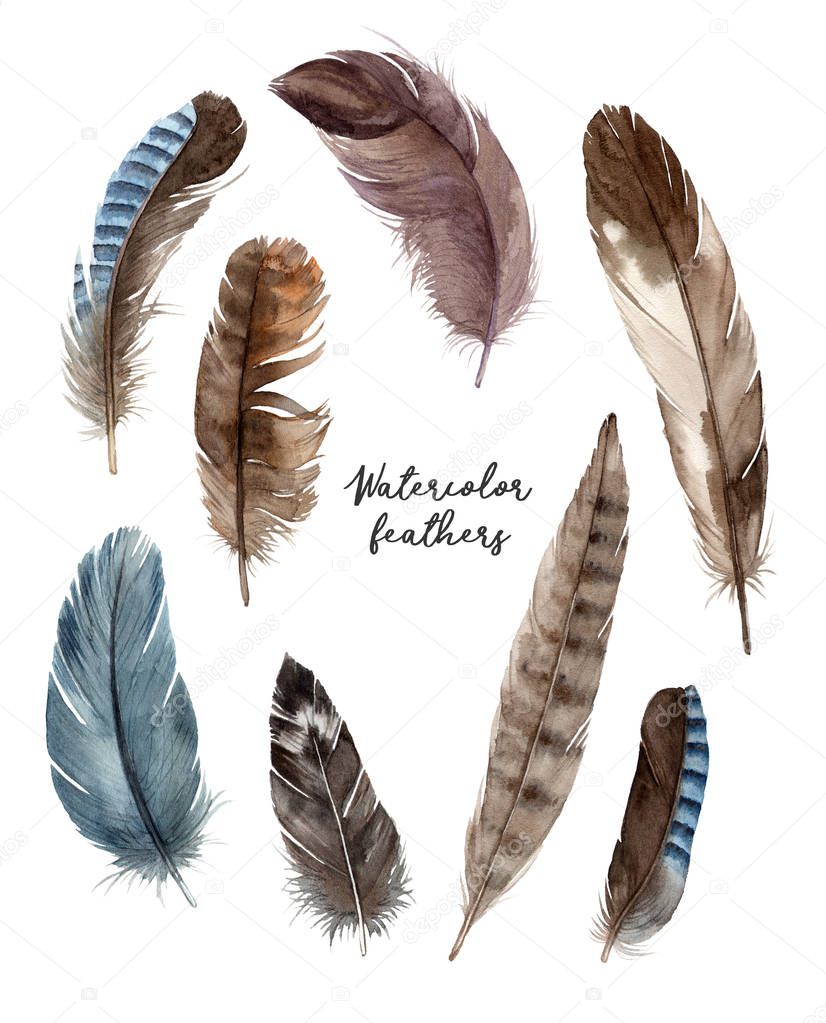 watercolor bird's feathers