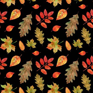 suluboya sonbahar yaprak Güz