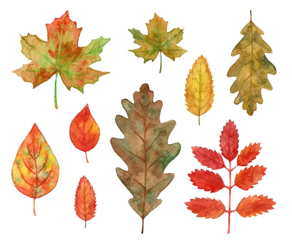 Watercolor autumn red and yellow leaves — Stock Photo, Image