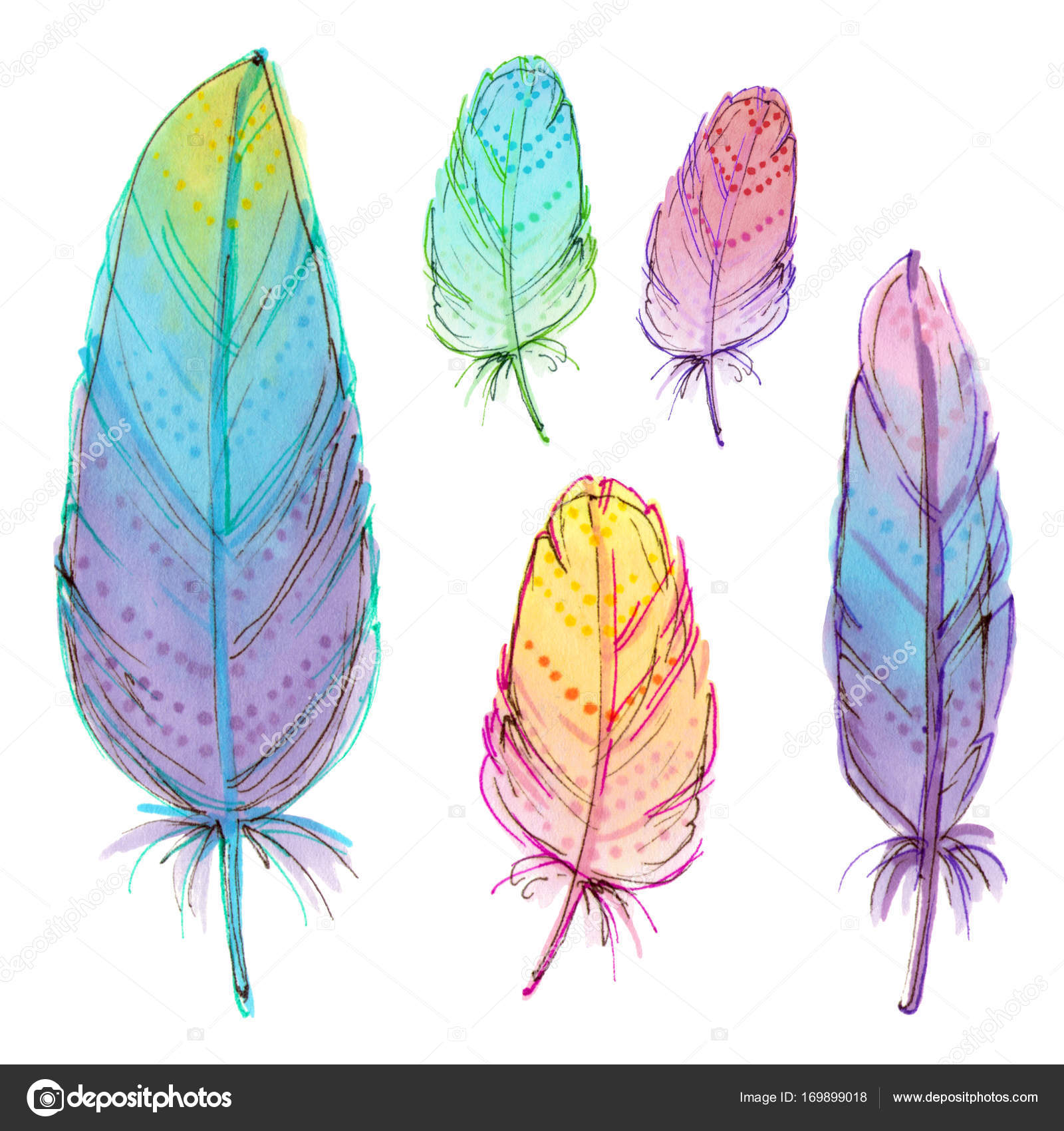 dibujo de plumas de colores Stock Illustration