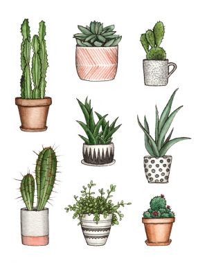 watercolor illustration home plants. clipart