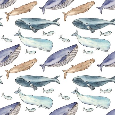 Sulu Boya desen balinalar aile. 