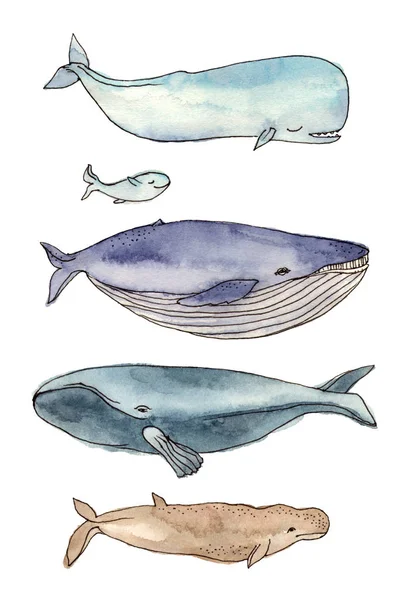 水彩イラストのクジラの家族. — ストック写真