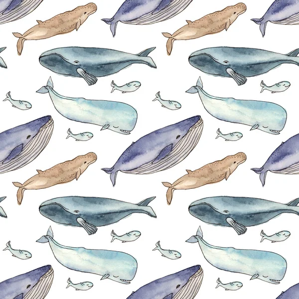 水彩パターン クジラの家族. — ストック写真