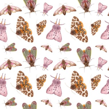 Sulu Boya desen böcekler - pervane. 