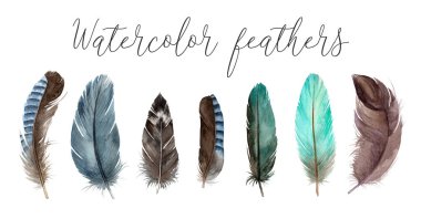 suluboya resimler tüyler ayarla.