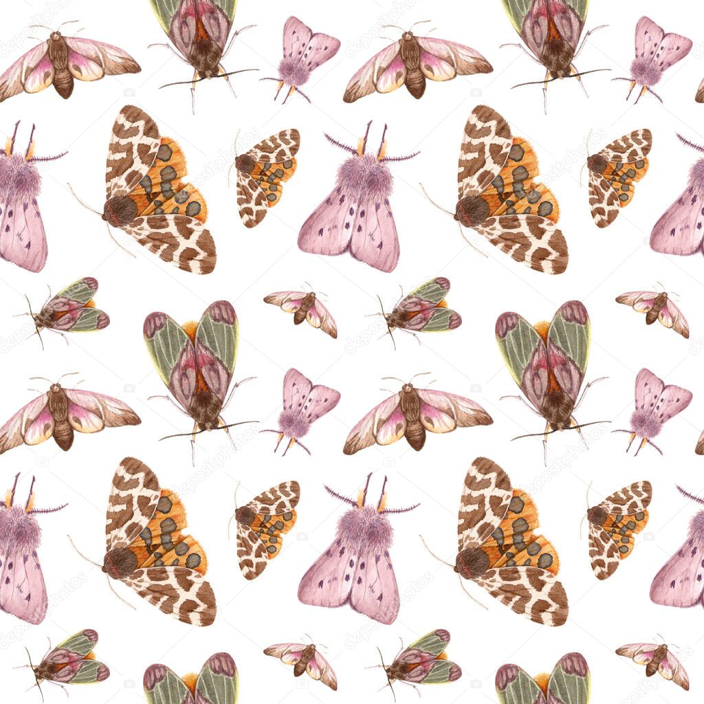 watercolor pattern insects - moths. 