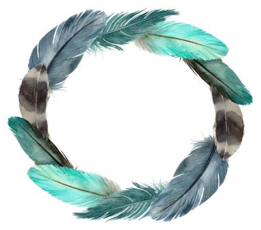 sulu boya resim, tüylü taç.