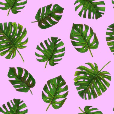 Monstera tropikal seamless modeli