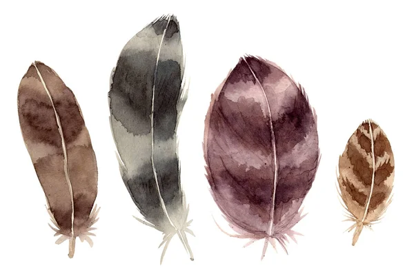 Acuarela ilustración conjunto plumas . — Foto de Stock