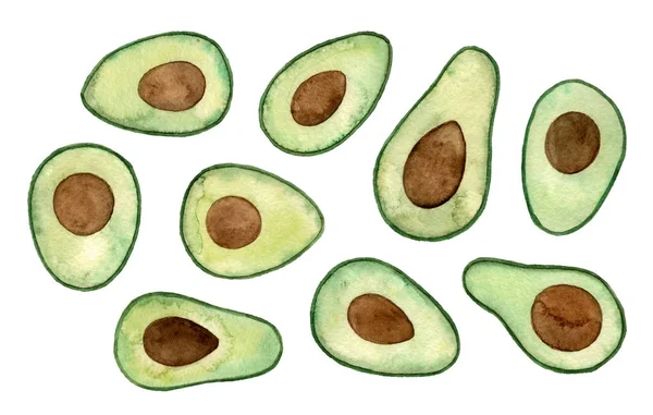 Handgeschilderde aquarel illustraties avocado. — Stockfoto