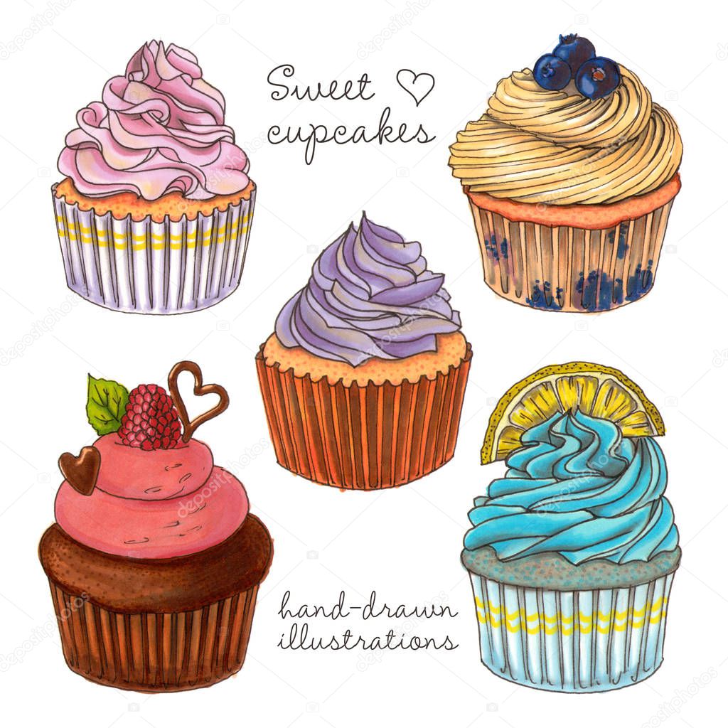 Illustrations sweet cupcakes. hand drawn isolated elements.