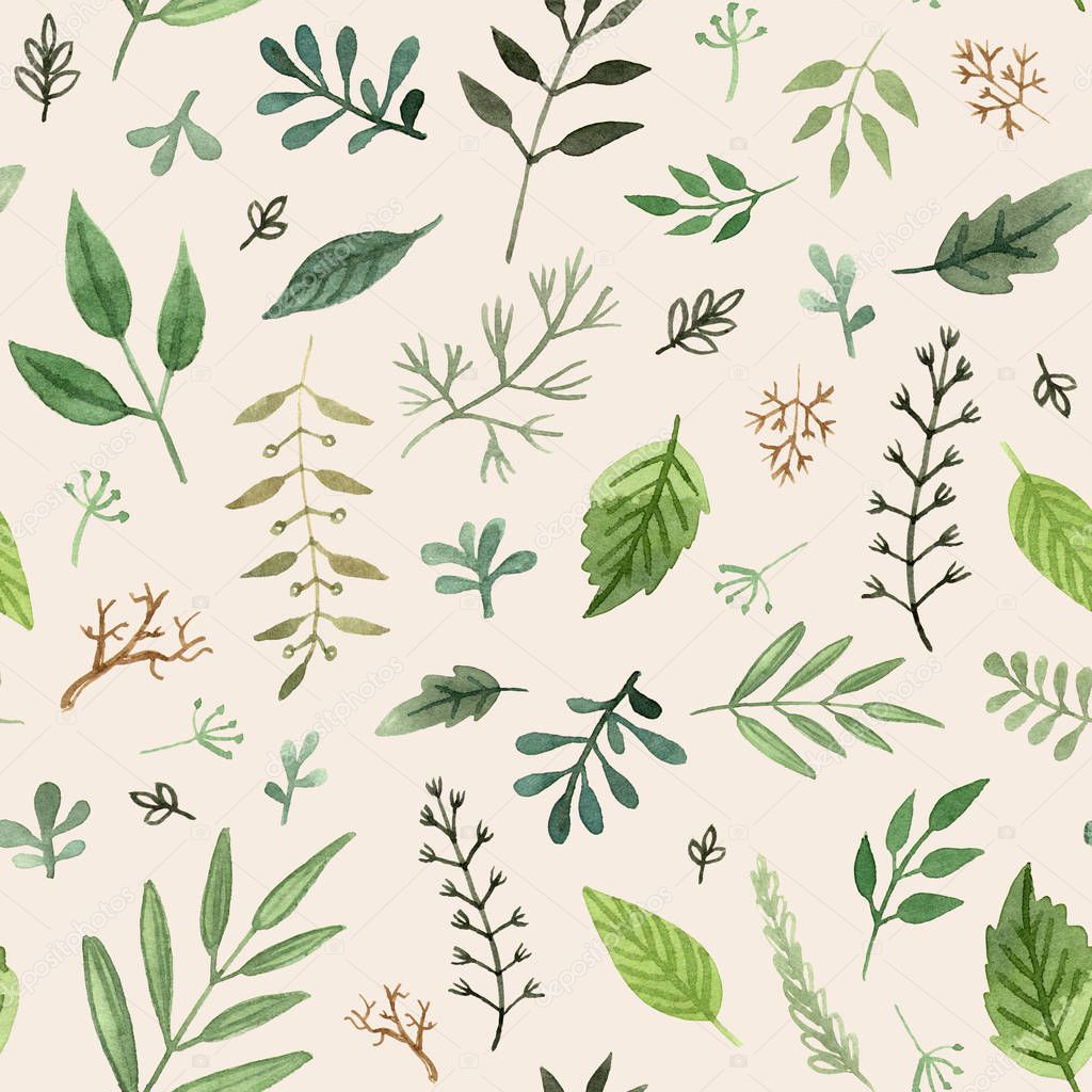 watercolor herbs and leaves hand painted seamless pattern on a beige background