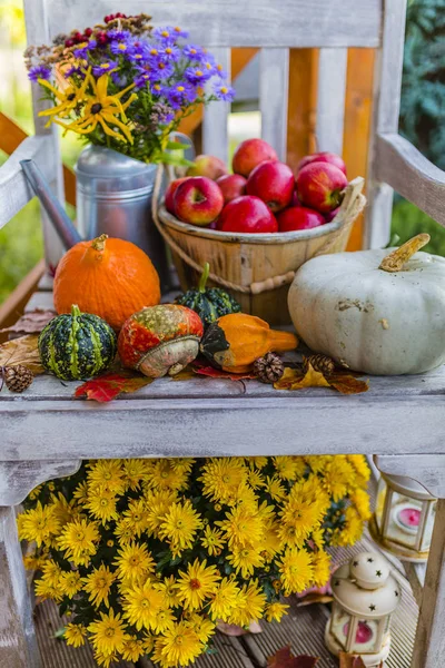 Citrouilles et décorations d'automne sur la terrasse en bois . — Photo