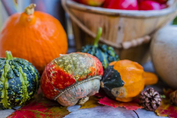 Pompoenen en herfst decoratie op het houten terras. — Stockfoto