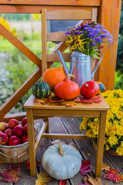 Kabaklar ve sonbahar dekorasyonları ahşap Teras. 